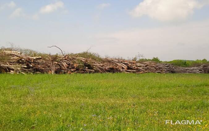 Продамо дрова паливні (деревина дров'яна): береза, вільха.