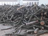 Продамо дрова паливні твердих порід