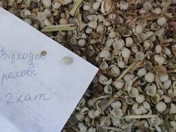 Продамо відходи - продукти переробки гороху жовтого 2 категорії