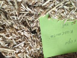 Продамо відходи - продукти переробки пшениці 2 категорії