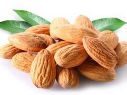 Продаём сладкое ядро абрикоса