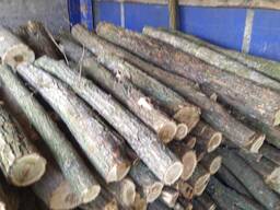 Продаю дрова твердых пород в большом объеме!!! Доставка по всей области цены уточняйте