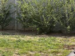 Продаж 1 поверхового будинку з опаленням і ділянкою на 6 соток