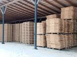 Продаж дерев'яних європіддонів EPAL, UIC, IPPC - фото 10