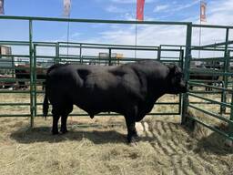 Продаж Комплекс врх