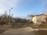 Продаж діючого виробництва шпону, Ів. -Франківська, Болехів, - фото 5