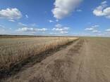 Продаж ділянки 22 сотих під житлову забудову у Байківцях - фото 1