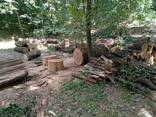 Продаж дров дуб граб , метр , різані черкаська обл - фото 1
