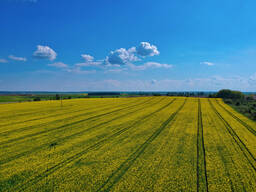 Продаж: Фермерське господарство 4270 га. Рівненська область. For sale: Farm. Rivne region.