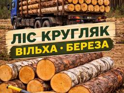 Продаж кругляка вільха береза | Доставка | Різка під розмір Київ обл