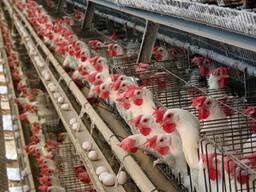 Продаж виробничого комплексу в Київській області