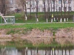 Продаж земельної ділянки комерційного призначення, площа 52 сотки