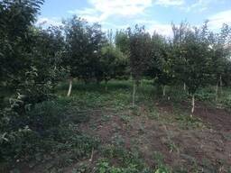 Продаж земельної ділянки під житлову забудову