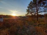 Продается участок с. Сокирно - фото 1