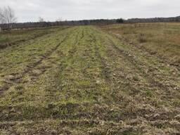 Продажа агрокомпании в Волынской обл. , 1200 Га