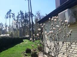 Продажа бази відпочинку зі своїм пляжем