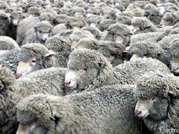 Продажа Целостно-имущественного комплекса