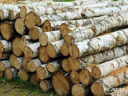 Продажа дров береза/сосна 1-2-4 метра (кругляк) Житомирская Область
