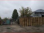 Продажа промышленной базы 6100 м2. Действующий бизнес. Без комисии. - фото 3