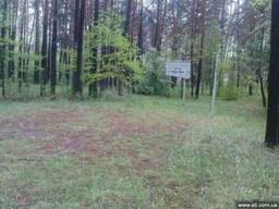 Продажа земельных участков в Климентово