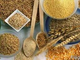 Продам КРУПИ оптом від виробника