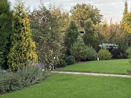 Пропоную роботу