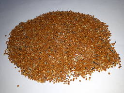 Просо красное