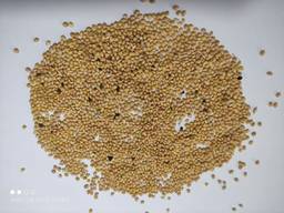 Просо желтое 40т