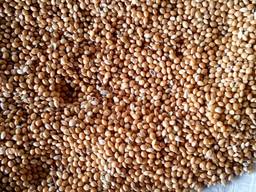 Просо жовте в мішках