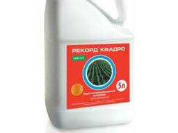 Протравитель Рекорд Квадро