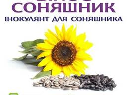 Протруйник для соняшника - BINOC Соняшник ENZIM Agro