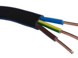 Провод соединительный ПВнг-LS-1 1х10 (ЗЗЦМ)
