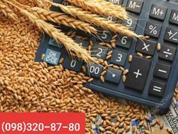 Пружина затвора для зерносушилок типа ДСП