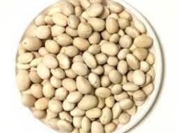 Приймаємо квасолю на консервування. Заберемо своїм транспортом