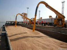 Пшеница 2 класса протеин 12,5 FOB-CIF 345$