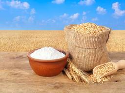 Пшеница / мука пшеничная большие объемы