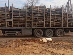 П/в от 2 метров , разных пород твердых , мягких пород