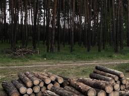 Пиломатеріали опт та роздріб! Сосна, вільха, липа, смерека!
