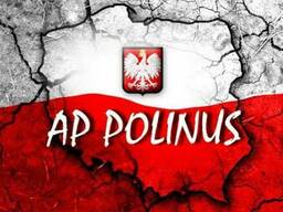 Рабочая виза D05 Польша пакет "Ekonomiczny"