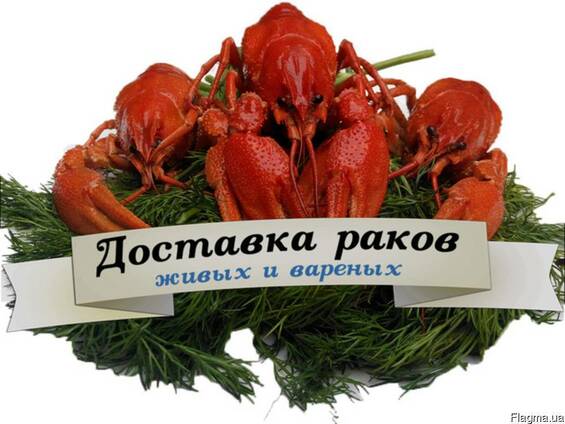 РАКИ - Снижена цена до конца недели!!!