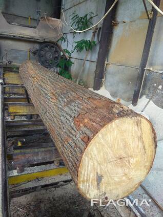 Куплю ліс круглий ясену або вільхи, клену