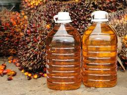 Растительное масло техническое закупка