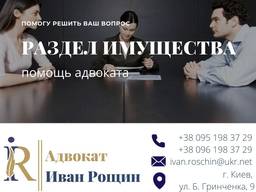 Раздел имущества супругов. Помощь адвоката
