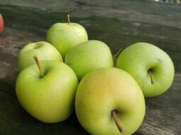 Реализуем яблоки