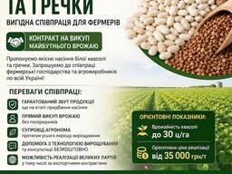 Реалізуємо насіння білої квасолі та гречки