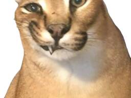 Реєстрація ФОП