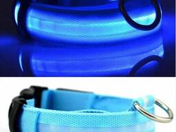 Ремешок регулируемый для собак светящийся 9392 L голубой
