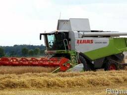 Ремни на комбайн Claas Lexion-580