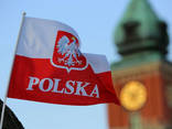 Репетитор польского языка, курсы польского в группах и онлайн, сертификат польского - фото 1