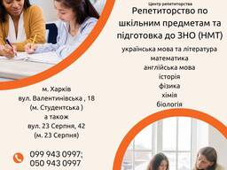 Репетитори, підготовка до НМТ